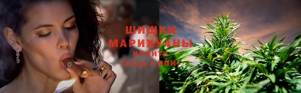 шишки Киренск