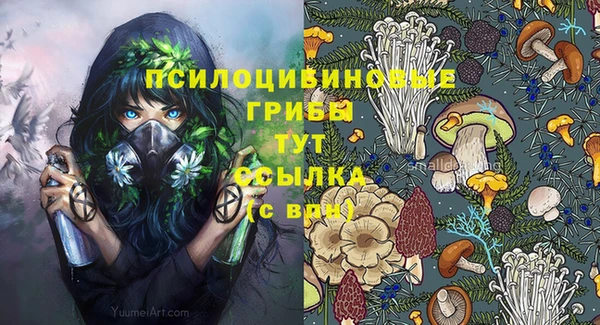 гидропоника Кинешма