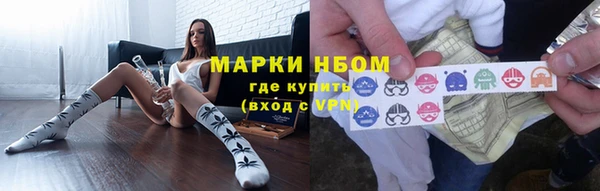 шишки Киренск
