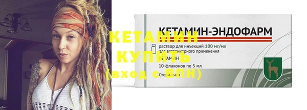 шишки Киренск