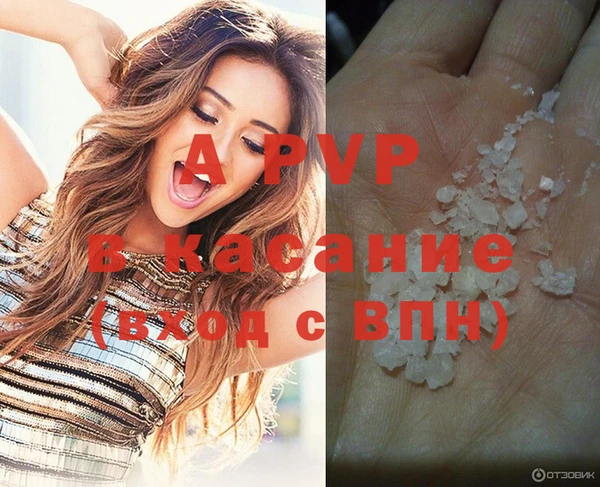 шишки Киренск