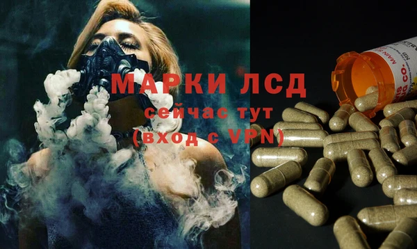 шишки Киренск