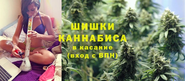 шишки Киренск