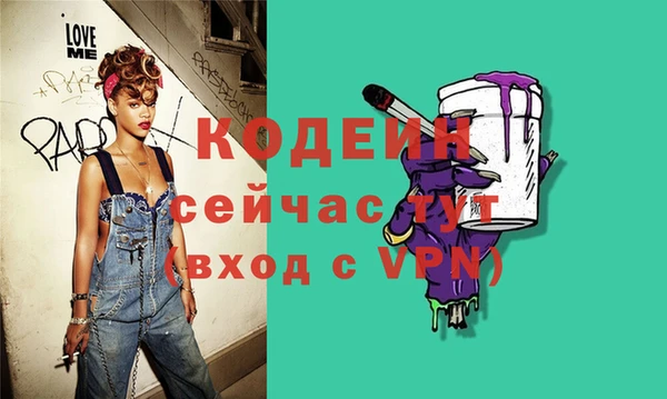 шишки Киренск